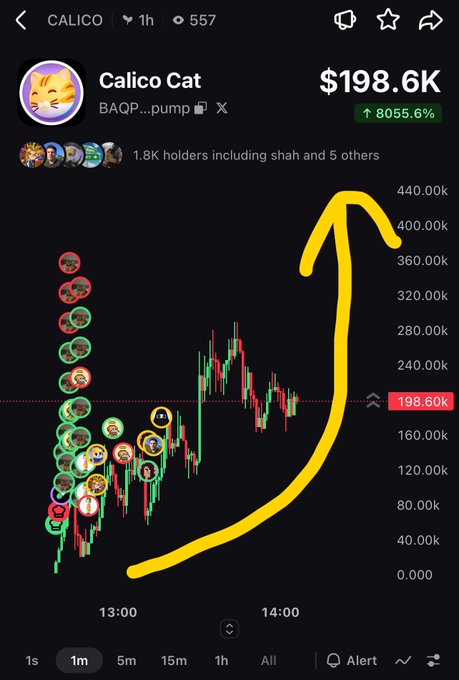 A cryptocurrency chart showing Calico Cat (BAQP...pump) with a value of $198.6K and an 8055.6% increase, with a hand-drawn yellow arrow highlighting the dramatic upward price movement.