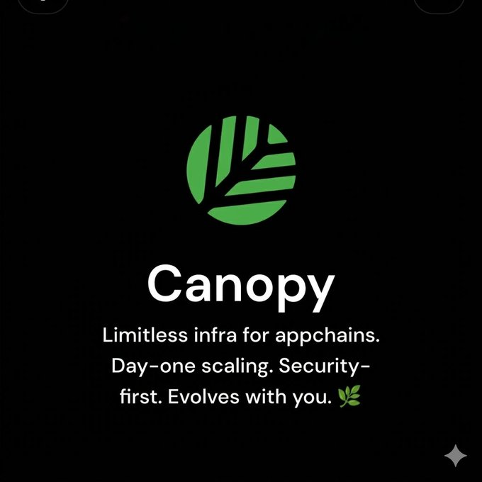 The image features a black background with white text, which reads "𝗪𝗲𝗯 𝟯.𝟬 𝗻𝗲𝗱𝘀 𝗶𝗻𝗳𝗿𝗮𝘀𝘁𝗿𝘂𝗰𝘁𝘂𝗿𝗲 𝘁𝗵𝗮𝘁 𝗰𝗮𝗻 𝗴𝗿𝗼𝘄 𝘄𝗶𝘁𝗵 𝗲𝘃𝗲𝗿𝘆 𝗮𝗽𝗹𝗶𝗰𝗮𝘁𝗶𝗼𝗻. and not shared networks that slow everything down." The image is related to the post because it features a logo for "CNPYNetwork" which is a company that provides Appchains, allowing each project its own dedicated blockchain.