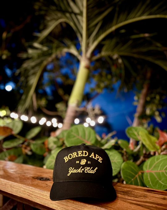 The image features a black baseball cap with white text that reads "bored ape yacht club". The hat is placed on top of a wooden bench, which is situated outdoors under a palm tree. The background includes trees and lights, suggesting an outdoor setting or patio area.
