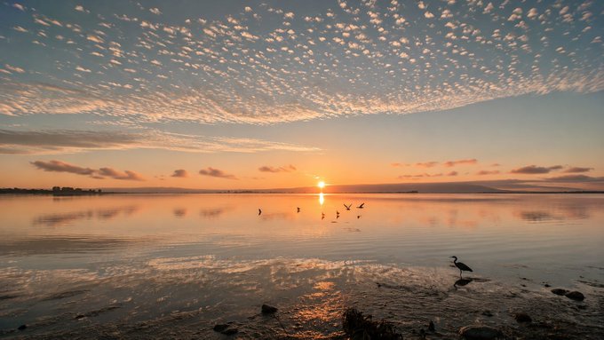 The image shows a beautiful sunset over a body of water, with birds flying around the scene. The sky is filled with clouds that cast a warm glow over the landscape as the sun sets behind them. In the foreground, there are several birds scattered across the water's surface, adding to the serene atmosphere. The post encourages viewers to stay curious and persistent in their pursuits, just like the birds flying freely around the sunset.