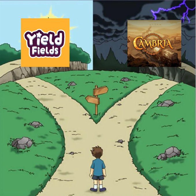 An illustrated cartoon boy stands at a fork in the road, with logos for 'Yield Fields' on the left path and 'Cambria' on the right, set against contrasting sunny and stormy skies.