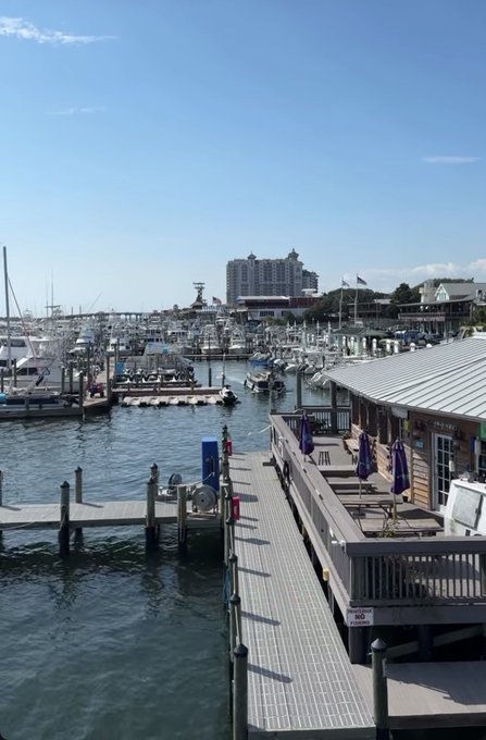 A sunny marina view shows boats docked in a harbor, with a wooden pier in the foreground and a tall hotel building visible in the background.