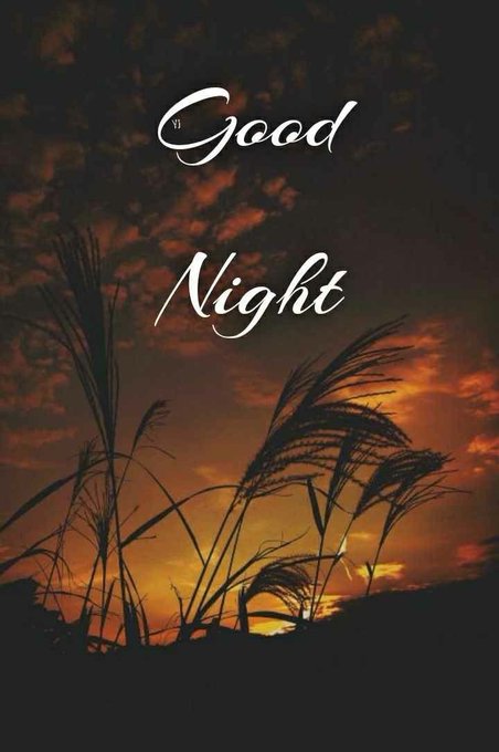 A sunset scene with silhouetted grass/plants and the text 'Good Night' written in elegant white script.