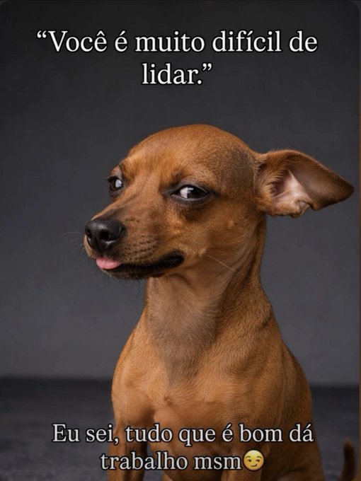 The image features a brown dog sitting against a gray background, with its head tilted slightly to one side as if looking off into the distance or at something that has caught its attention. The caption below the photo reads "$DOG Army is 24/7". This message suggests that the dog's owner is always available and attentive to their pet's needs, ensuring that the dog is well taken care of and loved.