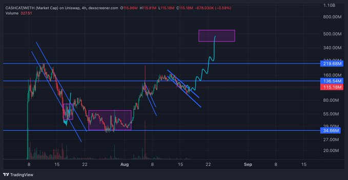 A 4-hour TradingView chart of CASHCAT/WETH shows the token's market cap surging from a ~$40M support level to ~$678M, currently around $115.18M (-0.59%), with the poster anticipating a 30% pullback as coiling price action sets up a potential next leg toward $250M+ market cap.