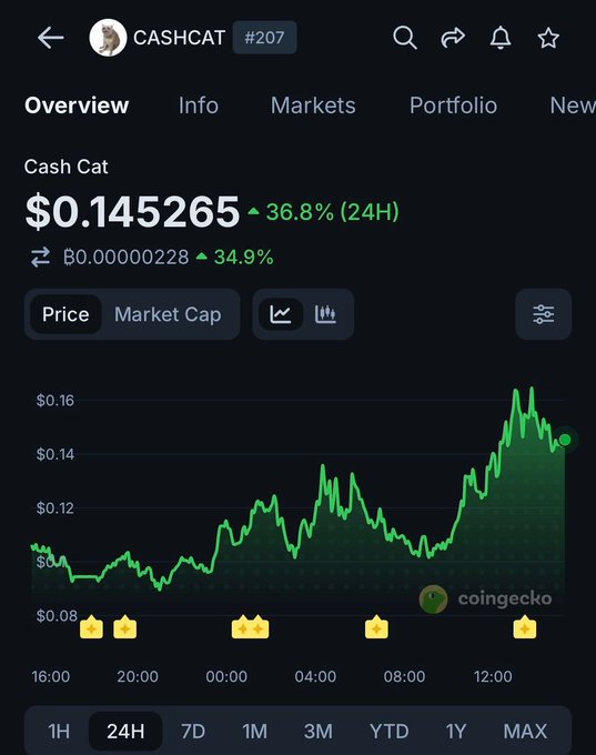 A CoinGecko price chart for 'CASHCAT' (#207) shows a price of $0.145265, up 36.8% in 24 hours.