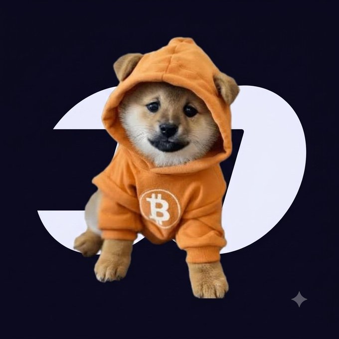 A Shiba Inu puppy wearing an orange Bitcoin hoodie sits in front of a large white "D" logo, with a small sparkle in the corner. The image ties to the post "$DOG @fomo," combining the iconic Dogecoin-associated Shiba breed with Bitcoin imagery to playfully represent the $DOG token as a hybrid of crypto and meme culture.