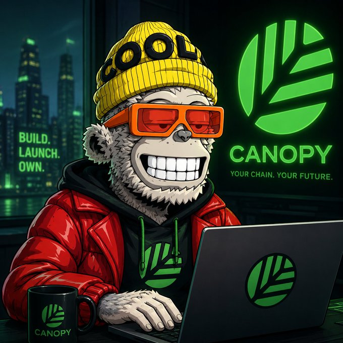 A cartoon-style mascot of a smiling bear wearing a yellow 'COOL' beanie, orange sunglasses, and a red jacket, working on a laptop alongside the 'CANOPY' logo with the tagline 'BUILD. LAUNCH. OWN.' and 'YOUR CHAIN. YOUR FUTURE.'