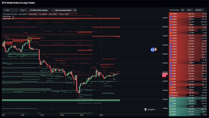 A Coinglass whale order analysis chart for Bitcoin (BTC) displaying large limit orders, large trades, and a 1-hour candlestick price chart.