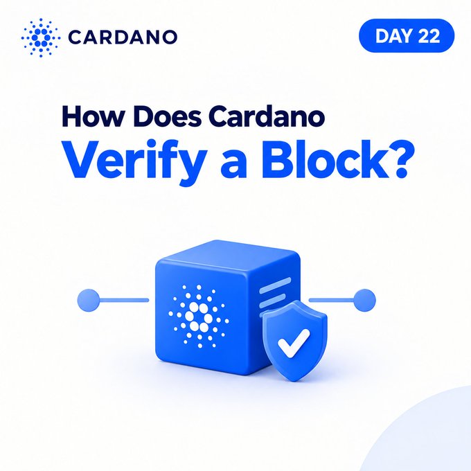 An educational graphic for Cardano labeled 'DAY 22' titled 'How Does Cardano Verify a Block?' featuring a blue 3D block icon with a shield and checkmark.