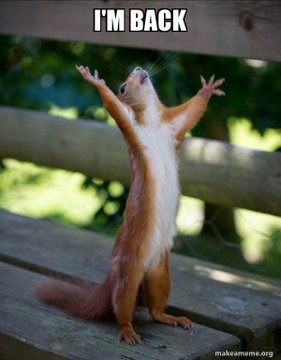A meme featuring a red squirrel standing on its hind legs with arms raised triumphantly on a wooden bench, captioned 'I'M BACK' with 'makeameme.org' watermark.