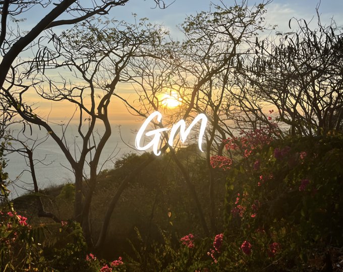 A scenic sunset view through tree branches over the ocean, with the text 'GM' written across the image and pink flowers in the foreground.