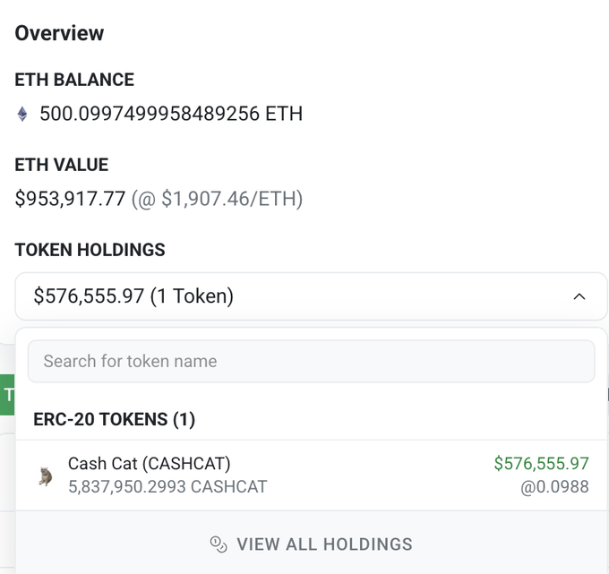 A crypto wallet overview shows an ETH balance of 500.0997499958489256 ETH valued at $953,917.77, plus token holdings of $576,555.97 in one ERC-20 token called Cash Cat (CASHCAT).