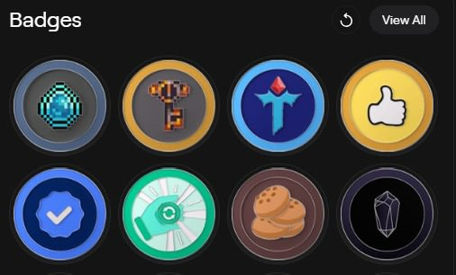 A grid of eight circular digital badges on a dark background, featuring various pixel-art icons including a diamond, a tool, a thumbs-up, a verification checkmark, and cookies.