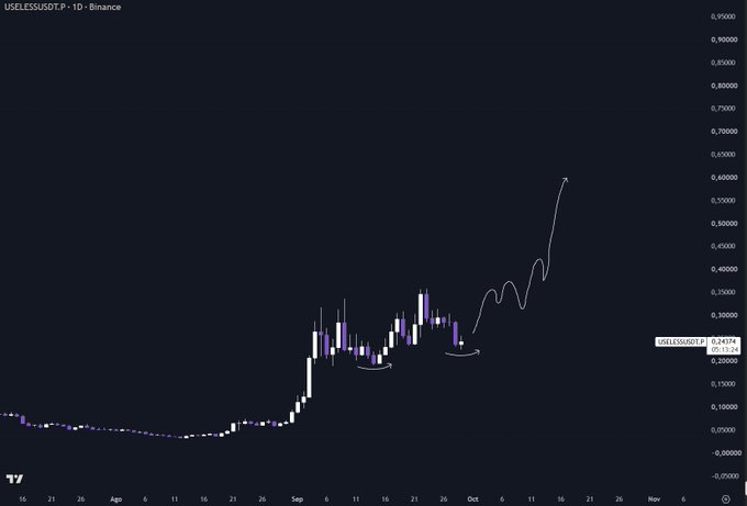 A daily chart of USELESSUSDT on Binance shows the price breaking down from a prior consolidation range before reversing to print a higher low near $0.24374, with an accompanying white hand-drawn projection suggesting an attempt to retest higher levels after the failed breakdown.