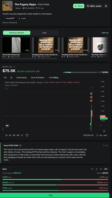 A screenshot of a meme coin profile page for '$TRYNTANK' (The Pygmy Hippo) on a trading platform, showing a market cap of $75.5K, a massive price spike chart, and social media clips.