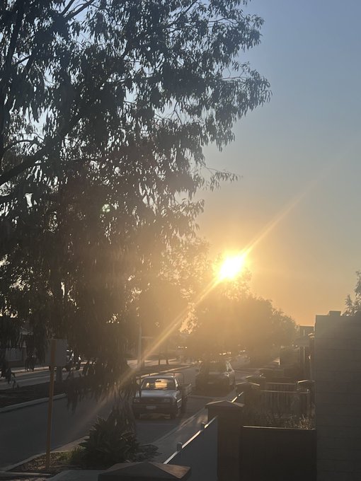 A scenic photograph of a sunset over a residential street, with the bright sun creating a starburst effect through the silhouetted leaves of a tree in the foreground.