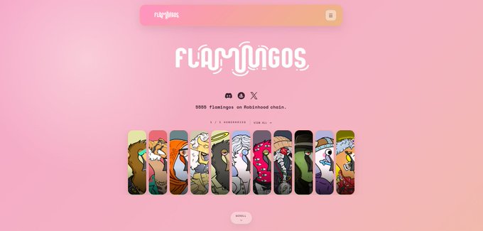 Flamingos NFT project landing page with a pink gradient background, displaying '5999 flamingos on Rinkinhooh chain' and a row of flamingo NFT character thumbnails.