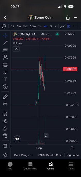 A mobile app screenshot showing a 4-hour trading chart for 'Boner Coin' (BONER/HIM) with a current price of 0.06062.