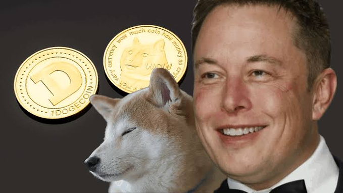 A composite image showing Elon Musk smiling alongside a Shiba Inu dog and two Dogecoin tokens featuring the Shiba Inu logo and the text "wow much coin how money so crypto very doge."