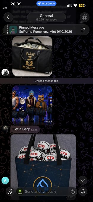 A Telegram chat screenshot from 'SulPump Pumpalienz Mint 9/10/2026' showing images of a 'BAG of MONEY' merchandise bag and cartoon crypto characters.