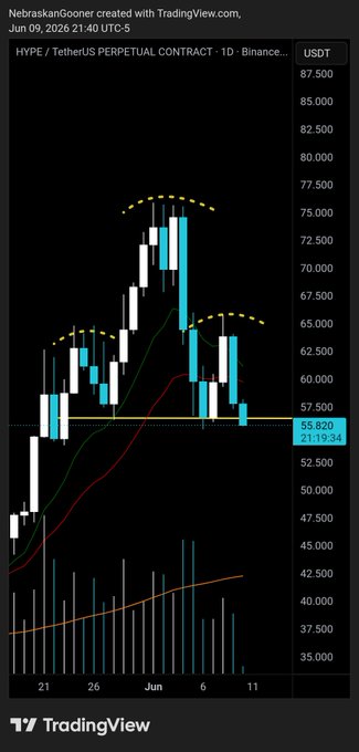 "Nighthawk created with Tradingview.com.  This shows a chart of the Hypte, along with a blue and orange candlestick patterned design."