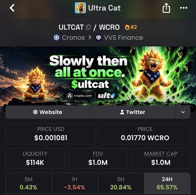 A crypto token page displaying 'Ultra Cat' (ULTCAT/WCRO) on Cronos via VVS Finance, showing a price of $0.001081, FDV of $1.0M, market cap of $1.0M, and 24H change of 65.57%, with promotional art reading 'Slowly then all at once. $ultcat'.