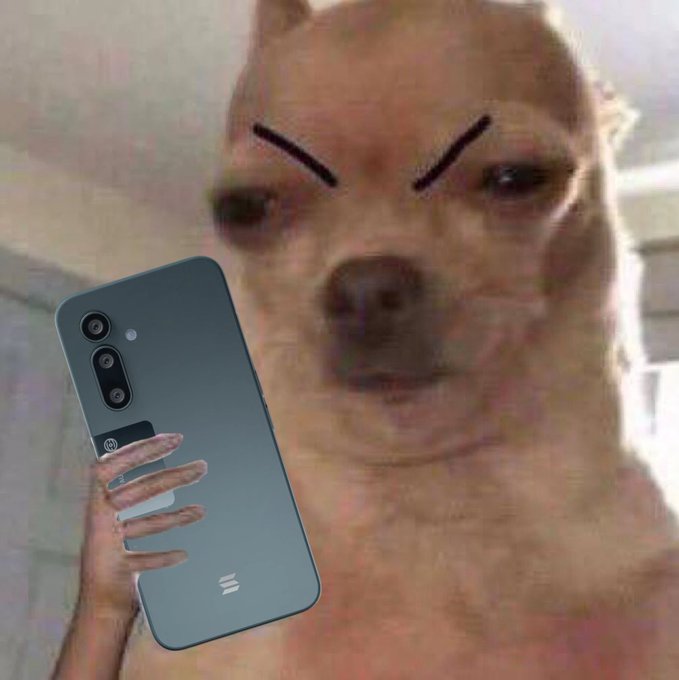 A humorous image showing a hand holding a blue Xiaomi smartphone in front of a dog that has angry cartoon eyebrows edited onto its face.