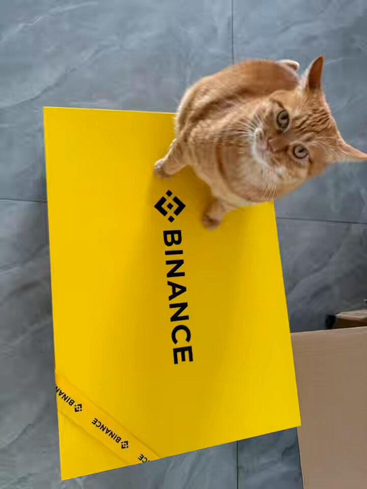 The image features a cat sitting on top of a yellow box with "binance" written on it, which appears to be a gift or present. The cat seems to be looking at the camera while perched atop the box.