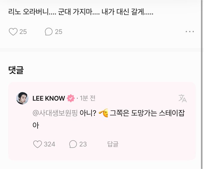 The image shows a Korean social media post replying to LEE KNOW's tweet, which reads (translated): "Or @사대생보원핑 (a fan account)?🥹 That nickname is so damn cute." The reply above it comments: "Rito orange bunny... military keep going... I'll protect the country..." connecting to LEE KNOW's military enlistment and his group Stray Kids, where fans humorously reassure him of their protection during his service.