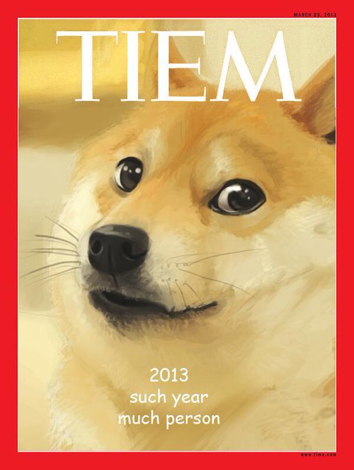 A parody Time magazine cover from March 25, 2013, featuring an illustrated Shiba Inu 'Doge' with meme-style text reading '2013 such year much person'.