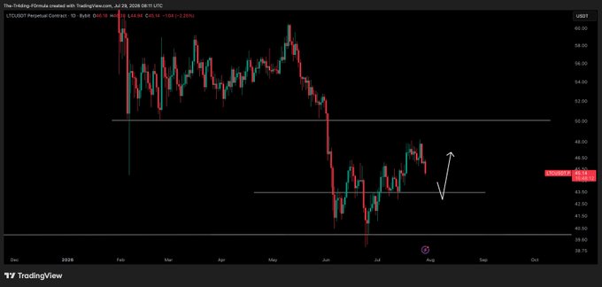 A daily candlestick chart of LTCUSD Perpetual Contract shows price action rejecting near the $50.90 resistance level after a strong rally, with a white annotation arrow indicating a potential retest downward toward the $43.50 support zone, aligning with the post's analysis of waiting for entries on dips and bounces at that key level.