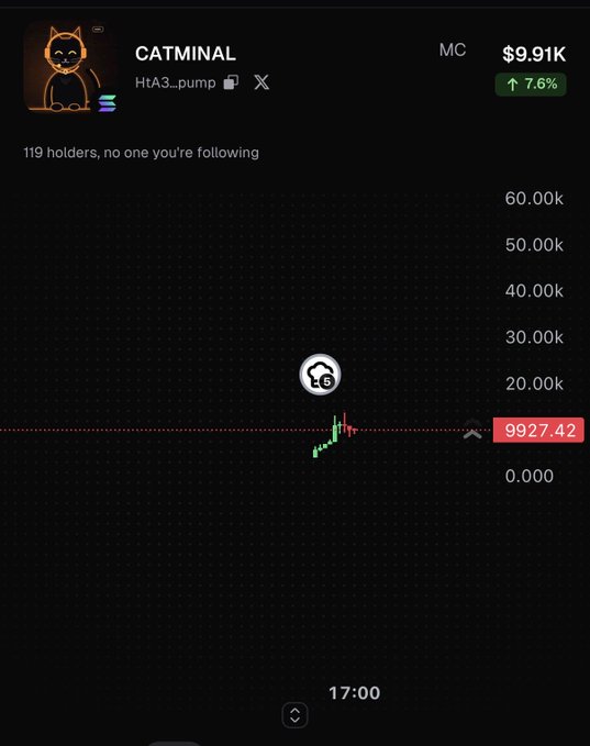 A dark trading chart for **CATMINAL** on the **HtA3…pump** token shows 119 holders and a rising price of **$9.91K**, up **7.6%**, with the live marker around **9927.42** near 17:00. This visually supports the accompanying post’s bullish sentiment that “let’s run it.”