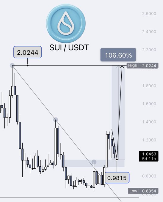 The image displays a candlestick chart for the **SUI/USDT** trading pair, showing a price of **2.0244** with a marked **+106.60%** potential upside highlighted by a vertical shaded band. Key levels visible include a recent low of **0.9815**, a 5-day 11-hour low of **1.0453**, and a chart low of **0.6354**, illustrating the planned entry near support with a target breakout rally toward the previous high.