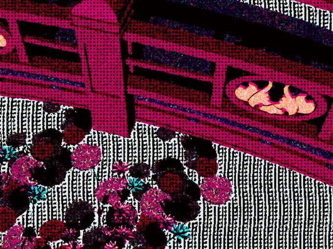 A halftone-style pop art image showing sushi on a wooden tray above a fish-patterned surface, with bright pink and black colors dominating the composition.