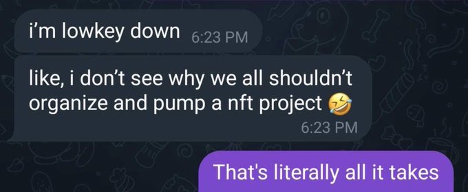 A Discord chat shows two messages at 6:23 PM: "i'm lowkey down" followed by "like, i don't see why we all shouldn't organize and pump a nft project 😂", with the reply "That's literally all it takes". The exchange reflects the poster's excitement about receiving support from OGs on @solana for an NFT project, as casual enthusiasm about collaborating on a pump quickly turns into a concrete opportunity.
