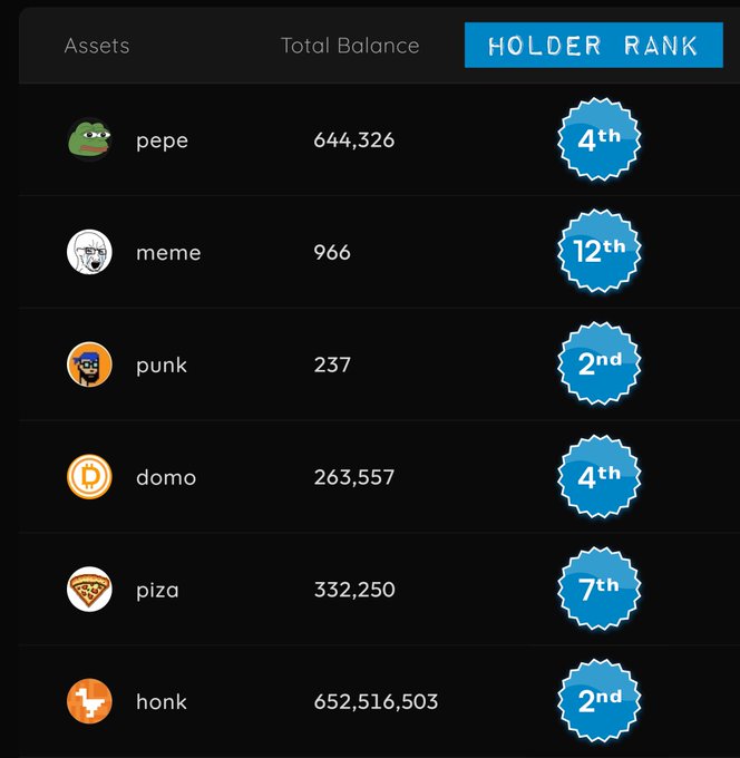 A 'HOLDER RANK' dashboard listing meme coin assets including pepe (4th), meme (12th), punk (2nd), domo (4th), piza (7th), and honk (2nd) with their total balances.