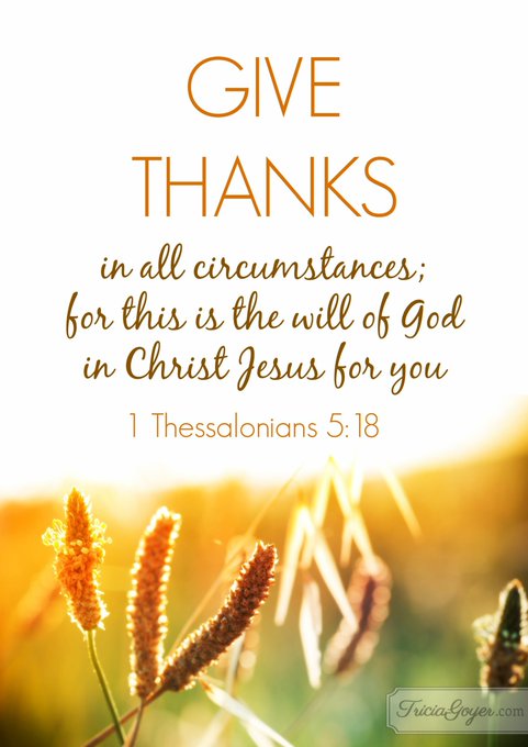 An inspirational graphic with a wheat field background displaying the Bible verse 'GIVE THANKS in all circumstances; for this is the will of God in Christ Jesus for you — 1 Thessalonians 5:18', credited to 'TriciaGoyer.com'.