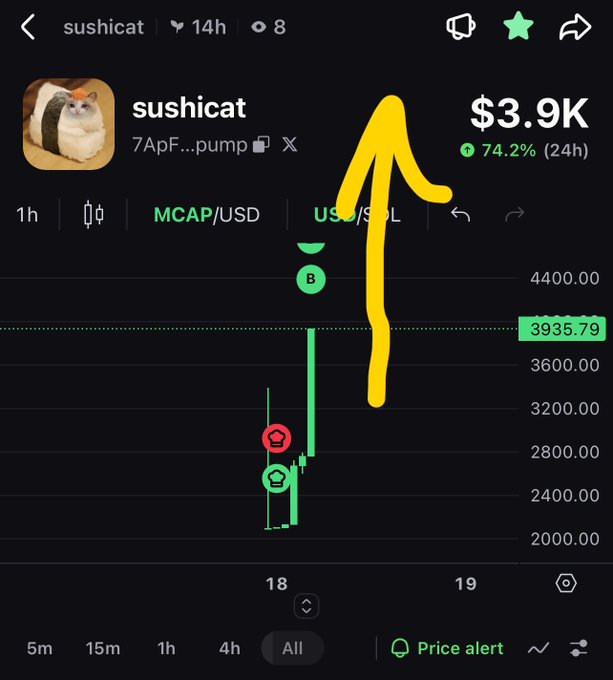 A screenshot of a cryptocurrency chart for 'sushicat' showing a price of $3.9K with a 74.2% increase over 24 hours, featuring a yellow hand-drawn arrow pointing upward.