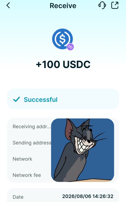 A mobile cryptocurrency wallet screen showing a successful receipt of +100 USDC on the USDC network, dated 2026/08/06, with a cartoon cat face emoji overlaid.