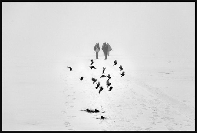 A black and white photograph showing two figures walking through dense fog with birds flying around them on a snow-covered path.