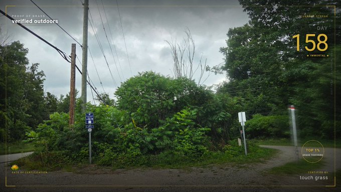 An overcast outdoor scene of a road intersection with overgrown greenery, power lines, and signs, overlaid with yellow UI elements including 'verified outdoors', 'DAY 158', and 'touch grass'.