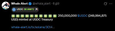 A tweet from 'Whale Alert' (@whale_alert) reporting that '250,000,000 USDC (249,994,875 USD) minted at USDC Treasury.'