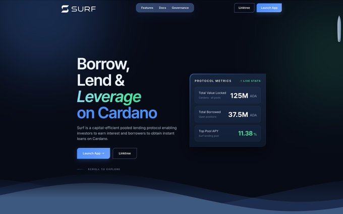 The image features a website for Surf, showcasing its terms of use and description of how it works. The website also provides information about a new project and offers the opportunity to join it. It explains that this project involves lending money and provides details about its features and capabilities. The website is designed in such a way that it captures attention with a blue background and white text, making it easy for users to understand what Surf offers.
