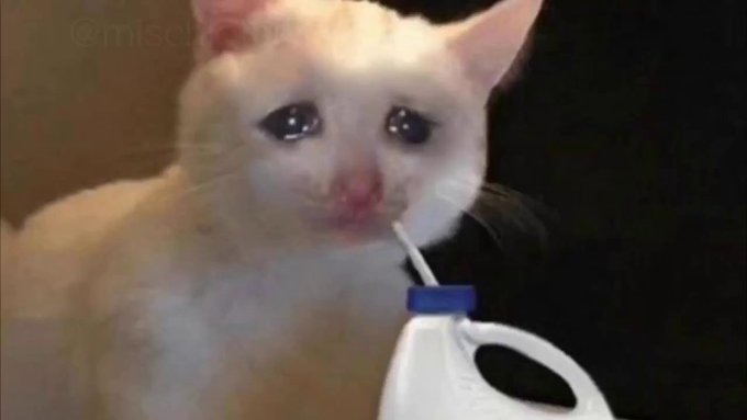 A white cat with tears welling in its eyes drinks from a white container, emotionally reacting to the scenario. The watermark "@mischi" appears in the top left corner. The image humorously depicts the bittersweet feeling of selling a coin too early, only to watch it skyrocket 28x afterward—the cat's teary-eyed expression perfectly capturing the regret and emotional turmoil of missing out on massive gains.