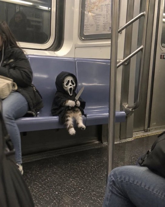 A cat wearing a black Ghostface-style hooded robe and holding a plastic knife sits on a subway seat, appearing to stare blankly ahead.