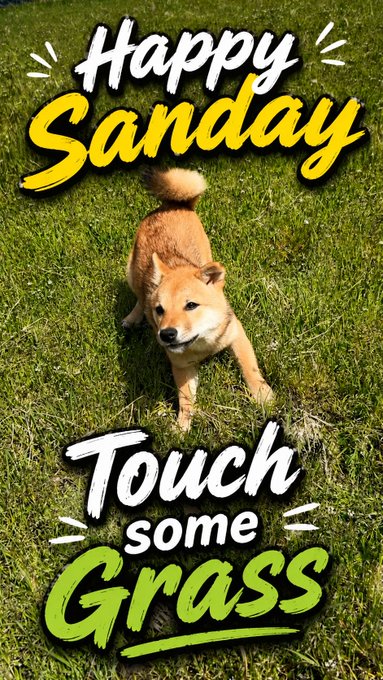 A 'Happy Sanday' graphic showing a Shiba Inu dog stretching in grass, with text at the bottom reading 'Touch some Grass'.
