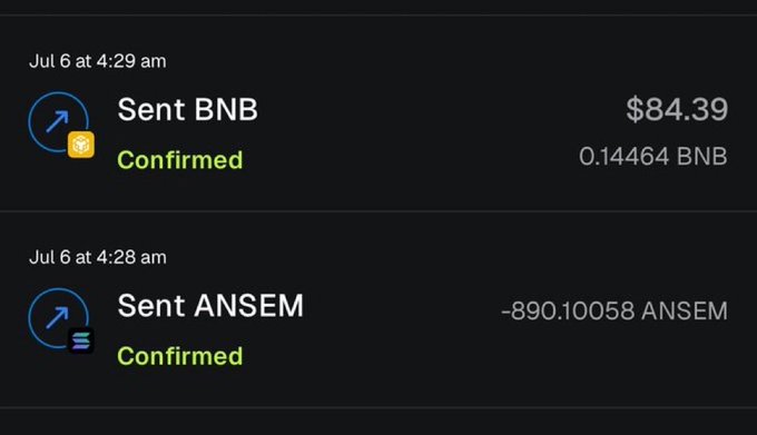 A crypto transaction history showing confirmed sends of 0.14464 BNB ($84.39) and -890.10058 ANSEM tokens on July 6.