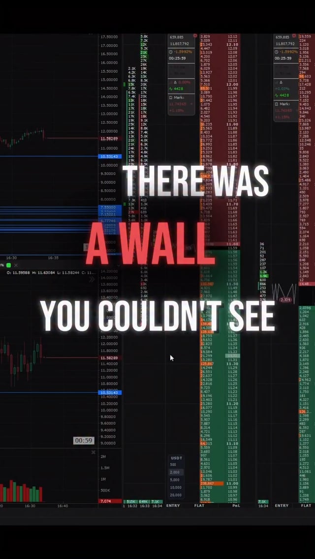 Using an orderflow Depth of Market chart, the text "THERE WAS A WALL YOU COULDN'T SEE" visually represents a significant accumulation of buy or sell orders that could have impacted price movement.