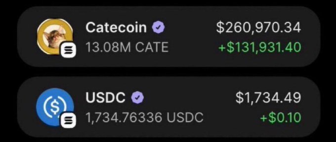 A crypto wallet portfolio screenshot showing holdings of Catecoin (CATE) at 13.08M tokens valued at $260,970.34 with a $131,931.40 gain, alongside 1,734.76 USDC. The image illustrates the post's boast about a highly profitable Catecoin investment that grew from a 6K market cap to over $260K.